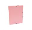Plastový box s gumičkou Karton PP Pastelini ružový