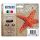 multipack EPSON 603 CMYK (C13T03U640)