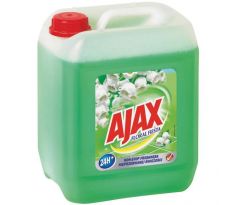 Ajax na podlahy Floral Fiesta 5 l Spring Flowers (zelený)