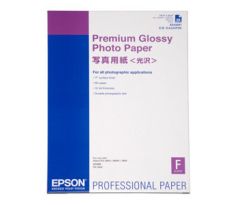 Premium Glossy Photo Paper, DIN A2, 255g/m?, 25 Sheet (C13S042091)
