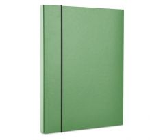 Box s gumičkou 40mm Office product green