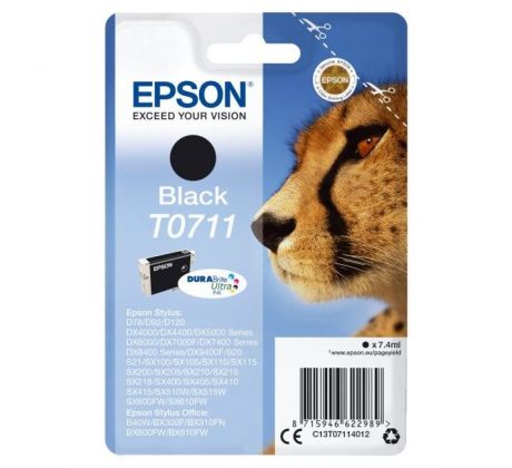 Atramentová náplň Epson C13T07114H10 black 2-pack pre D120, DX7400/7450/8400/8450 (2x450 str.)