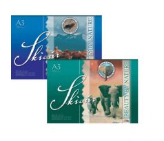 Skicár S31 A3 10 listový 200 g mix motívov