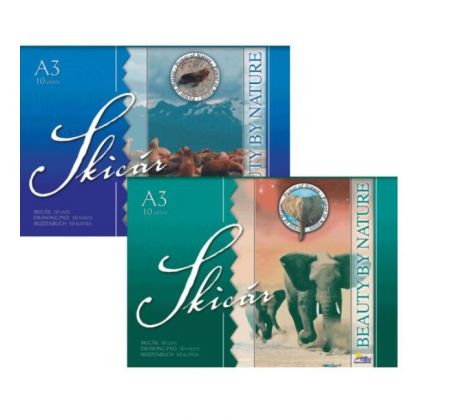 Skicár S31 A3 10 listový 200 g mix motívov