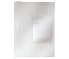 Závesný obal L Esselte CombiFiles triediaci priehľadný