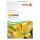 XEROX papier Colotech+ Gloss laser SRA3/250ks 250g (003R91619)