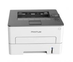 Printer PANTUM P3010DW, 33 A4/min, bw, duplex, LAN / WiFi (P3010DW)