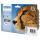 multipack EPSON C13T07154010 CMYK (C13T071540)