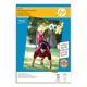 PAPIER HP Q8697A Advanced Glossy Photo,250g, A3/297x420mm,20ks (Q8697A)