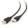 USB extension cable, 10 ft (CCP-USB2-AMAF-10)