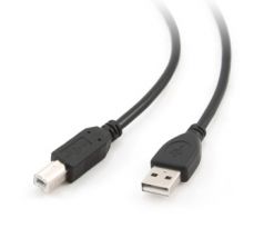 USB 2.0 A-plug B-plug 3m cable (CCP-USB2-AMBM-10)